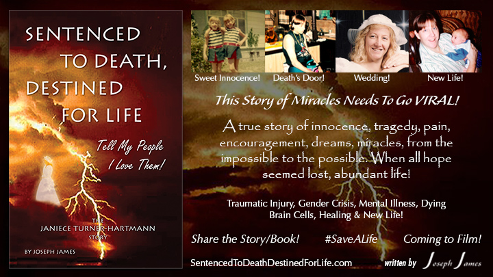 Sentenced To Death Destined For Life - The Janiece Turner-Hartmann Story - by Joseph James
