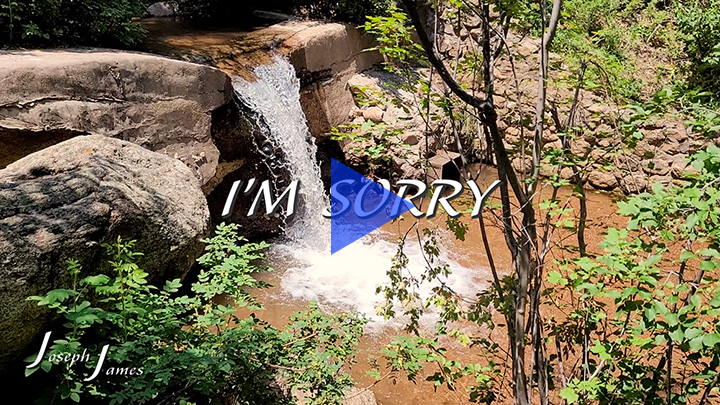 I'M SORRY | Joseph Jamesa